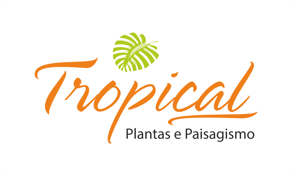 TROPICAL PLANTAS